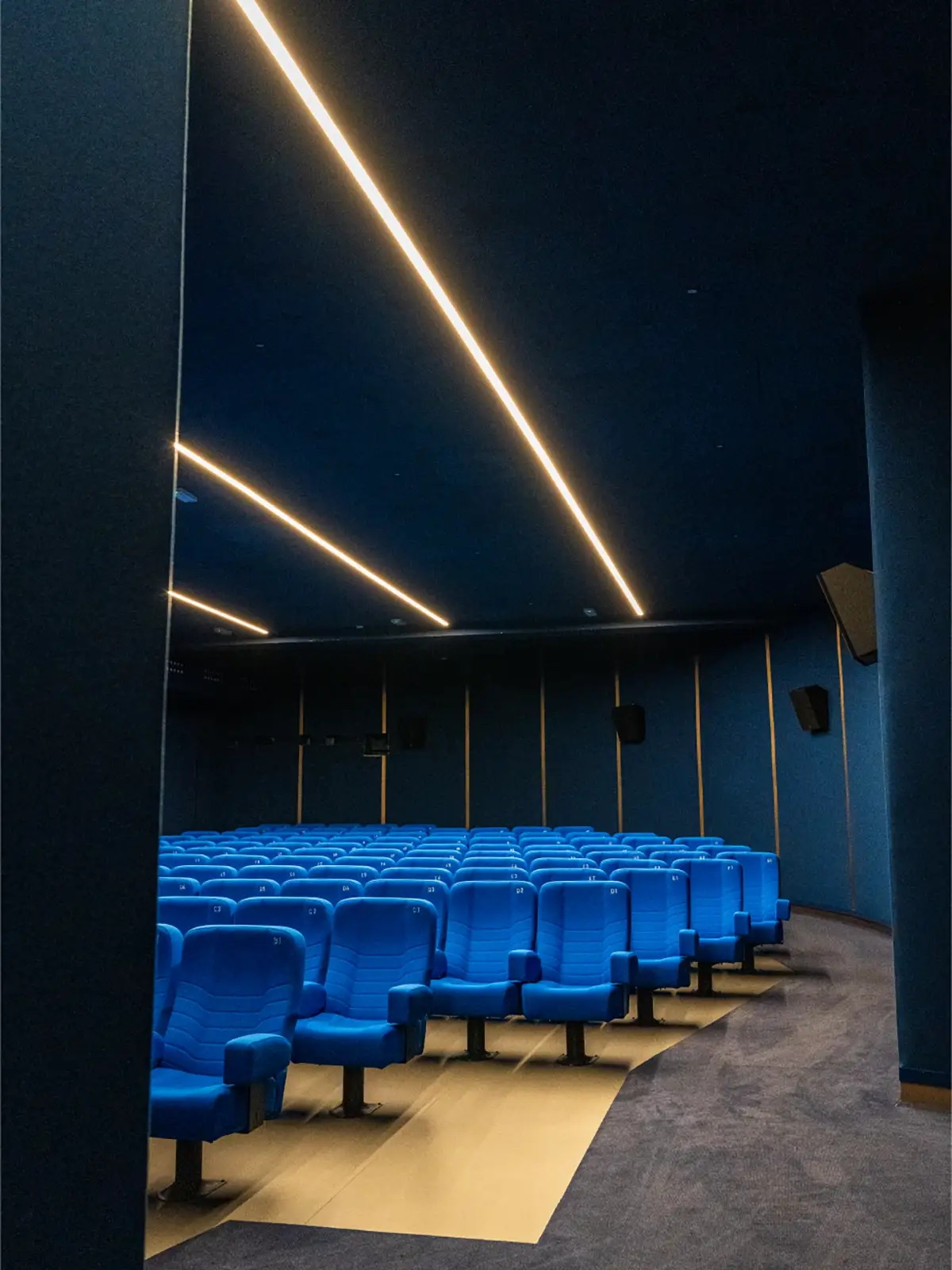 Sala interna del Cinema Eliseo a Torino dopo l&rsquo;intervento di riqualificazione architettonica, vista laterale con sedute blu e illuminazione lineare a soffitto