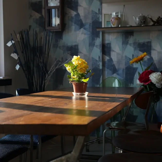 Scorcio d'interni atmosferico del progetto 'Casa Gavassa' con un tavolo da pranzo in legno massiccio illuminato da luce naturale radente. Sul tavolo c'&egrave; una pianta fiorita gialla in vaso. Lo sfondo mostra una carta da parati testurizzata blu geometrica, sedie di design e una mensola con oggetti d'arte.